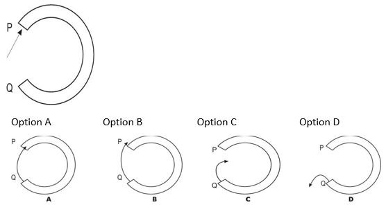 ""CBSE-Class-5-EVS-Sunita-In-Space-Worksheet-10