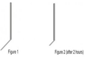 ""CBSE-Class-5-EVS-Sunita-In-Space-Worksheet-17