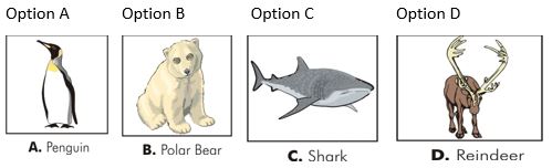 ""CBSE-Class-5-EVS-Super-Senses-Worksheet-2