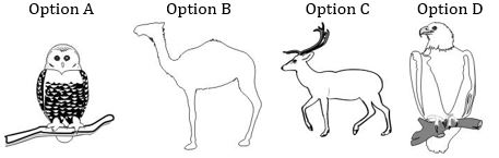 ""CBSE-Class-5-EVS-super-senses-Worksheet-1