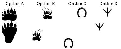 ""CBSE-Class-5-EVS-super-senses-Worksheet-2