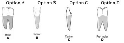 ""CBSE-Class-5-EVS-super-senses-Worksheet-3