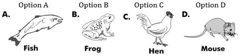 ""CBSE-Class-5-EVS-super-senses-Worksheet