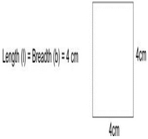 ""CBSE-Class-5-Maths-Area-And-Its-Boundary-Worksheet-5