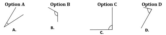 ""CBSE-Class-6-Maths-Understanding-Elementary-Shapes-MCQs