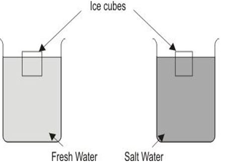 ""CBSE-Class-6-Science-Changes-Around-Us-MCQs-2