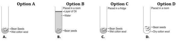 ""CBSE-Class-6-Science-Changes-around-us-Worksheet-Set-B-1