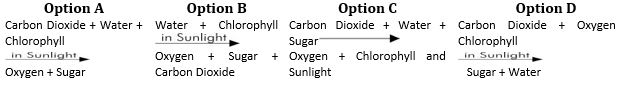 ""CBSE-Class-6-Science-Changes-around-us-Worksheet-Set-B-2