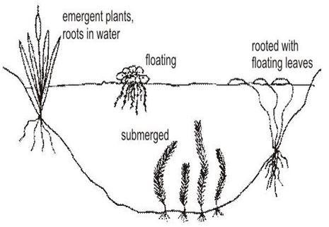 ""CBSE-Class-6-Science-Changes-around-us-Worksheet-Set-B-6