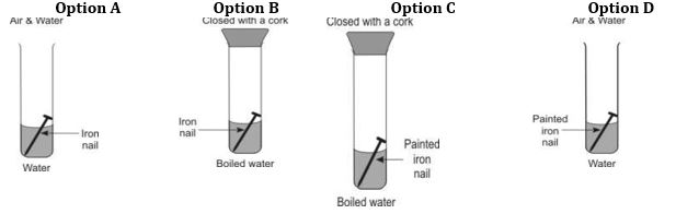 ""CBSE-Class-6-Science-Changes-around-us-Worksheet-Set-B