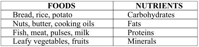 ""CBSE-Class-6-Science-Components-of-Food-Worksheet-Set-A-1