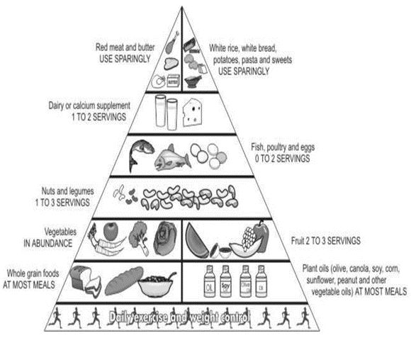 ""CBSE-Class-6-Science-Components-of-Food-Worksheet-Set-A-5