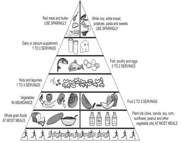 ""CBSE-Class-6-Science-Components-of-Food-Worksheet-Set-A-6