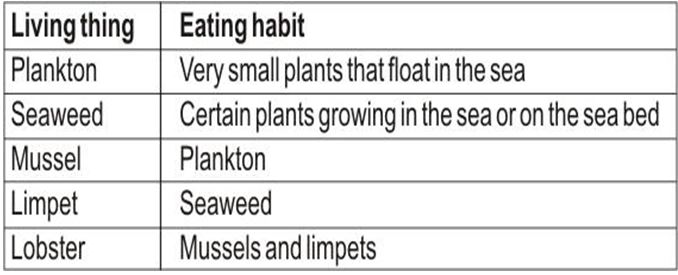 ""CBSE-Class-6-Science-Food-Where-Does-It-Come-From-Worksheet-Set-A-3