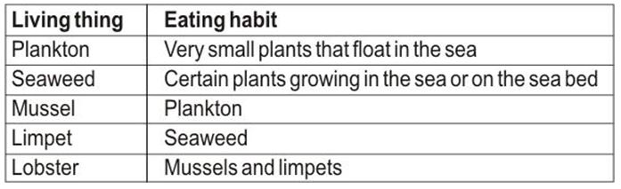 ""CBSE-Class-6-Science-Food-Where-Does-It-Come-From-Worksheet-Set-A-4