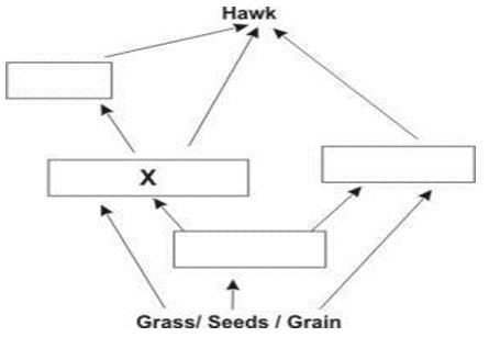 ""CBSE-Class-6-Science-Food-Where-Does-It-Come-From-Worksheet-Set-A-9