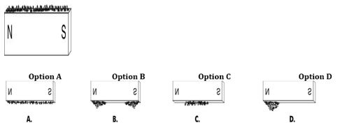 ""CBSE-Class-6-Science-Fun-with-Magnets-MCQs-1