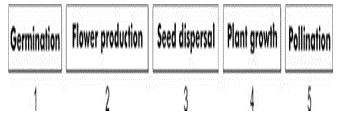 ""CBSE-Class-6-Science-Getting-To-Know-Plants-Worksheet-Set-A-4