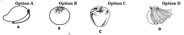 ""CBSE-Class-6-Science-Getting-To-Know-Plants-Worksheet-Set-A-6