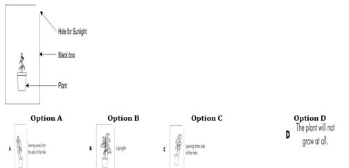 ""CBSE-Class-6-Science-Getting-To-Know-Plants-Worksheet-Set-A-8