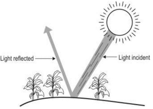 ""CBSE-Class-6-Science-Light-Shadows-and-Reflections-MCQs-5