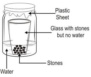 ""CBSE-Class-6-Science-Light-Shadows-and-Reflections-MCQs-6