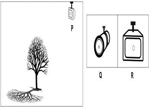 ""CBSE-Class-6-Science-Light-Shadows-and-Reflections-Worksheet-Set-A-9