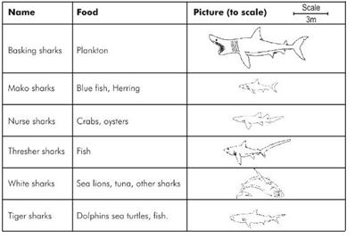 ""CBSE-Class-6-Science-Motion-and-Measurement-of-Distances-Worksheet-Set-A-7