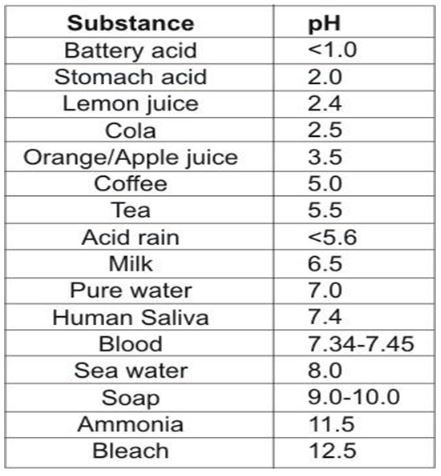 ""CBSE-Class-6-Science-Nutrition-In-Plants-Worksheet-1