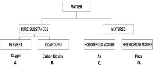 ""CBSE-Class-6-Science-Sorting-Materials-into-Groups-Worksheet-Set-A-5