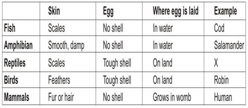 ""CBSE-Class-6-Science-The-Living-Organisms-and-Their-Surroundings-MCQs-2