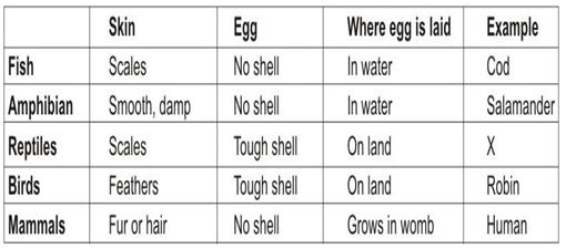 ""CBSE-Class-6-Science-The-Living-Organisms-and-Their-Surroundings-MCQs-3