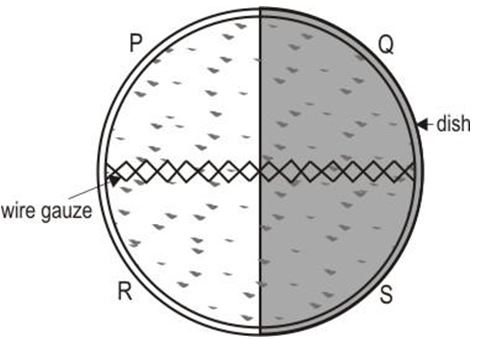 ""CBSE-Class-6-Science-The-Living-Organisms-and-Their-Surroundings-MCQs-4