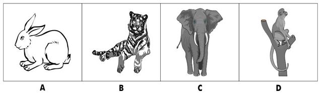 ""CBSE-Class-6-Science-The-Living-Organisms-and-Their-Surroundings-MCQs-8