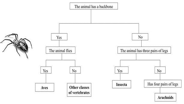 ""CBSE-Class-6-Science-The-Living-Organisms-and-Their-Surroundings-MCQs-9