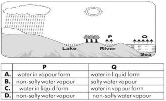 ""CBSE-Class-6-Science-Water-MCQs-3