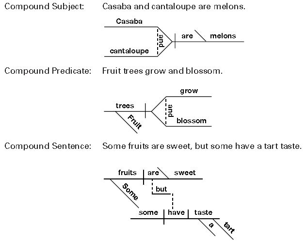 ""CBSE-Class-7-English-Diagraming-Compound-Sentence-Parts-Worksheet