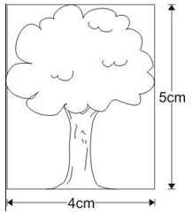 ""CBSE-Class-7-Mathematics-Comparing-Quantities-MCQs-11