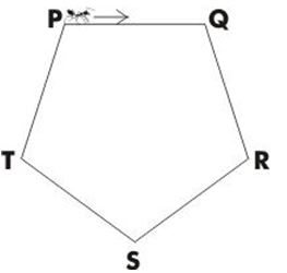 ""CBSE-Class-7-Mathematics-Perimeter-and-Area-MCQs-6