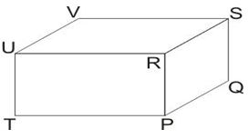 ""CBSE-Class-7-Mathematics-Simple-Equations-MCQs-6