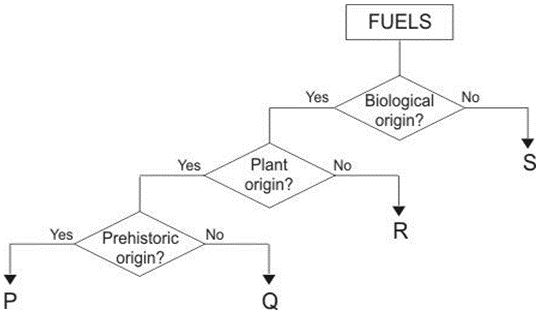 ""CBSE-Class-7-Science-Forests-Our-Lifeline-Worksheet-Set-A-8