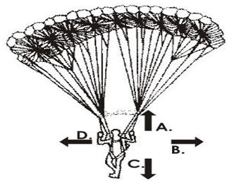 ""CBSE-Class-7-Science-Motion-and-Time-MCQs-2