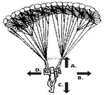 ""CBSE-Class-7-Science-Motion-and-Time-MCQs-8