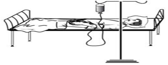 ""CBSE-Class-7-Science-Nutrition-in-Animals-Assignment-4