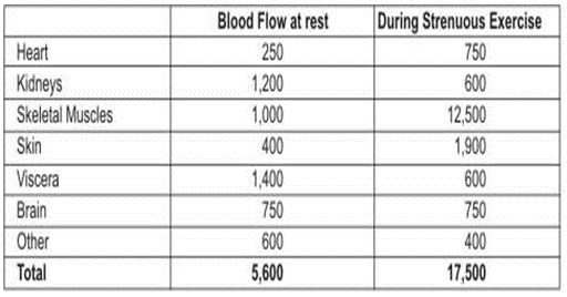 ""CBSE-Class-7-Science-Respiration-in-Organisms-Assignment-7