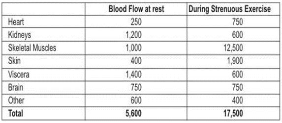 ""CBSE-Class-7-Science-Respiration-in-Organisms-Assignment-8