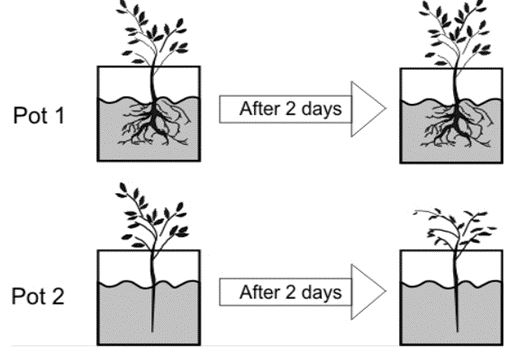 ""CBSE-Class-7-Science-Respiration-in-Organisms-Assignment-9