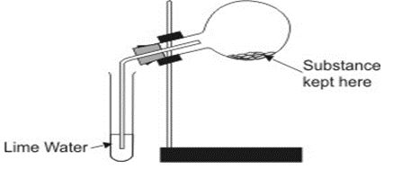 ""CBSE-Class-7-Science-Respiration-in-Organisms-Assignment