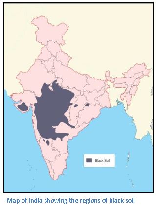 ""CBSE-Class-7-Science-Soil-Worksheet-Set-A-1