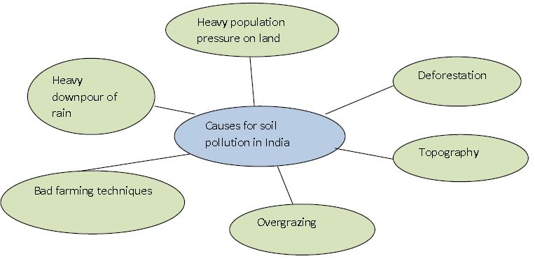 ""CBSE-Class-7-Science-Soil-Worksheet-Set-A-2